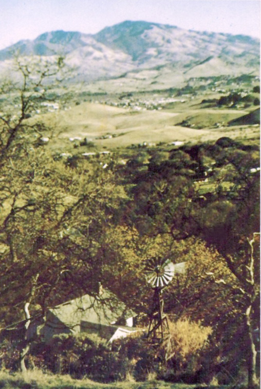 Nature in the Diablo Valley